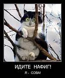 Аватар пользователя