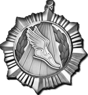 Серебряная медаль