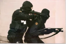 swat.webp