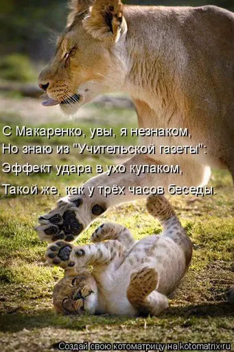 Pd.webp