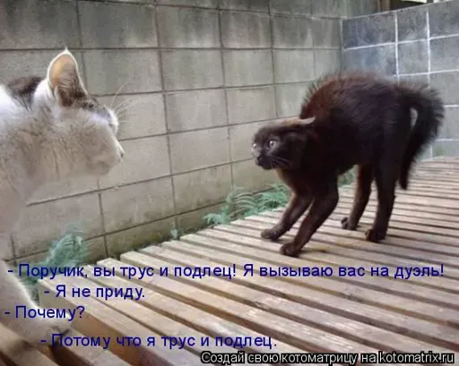 V3.webp