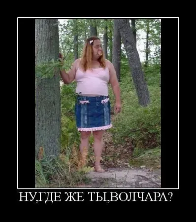 1244691770_podborka_21.webp