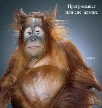 4df0eaf29574.webp