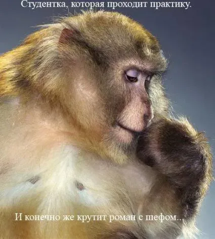 5bb5675c25ac.webp