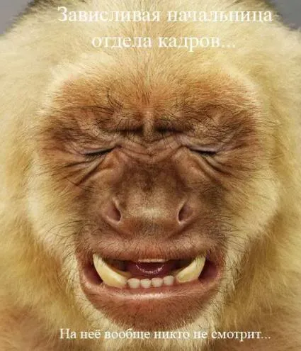 47cad4dedbda.webp