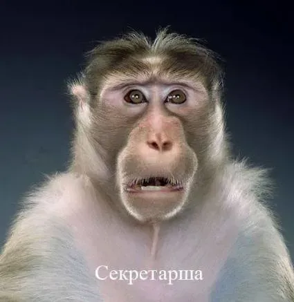 9033afcc754e.webp