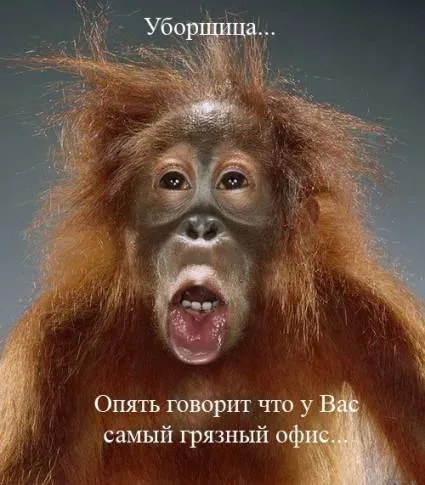defe3cf0e8a2.webp