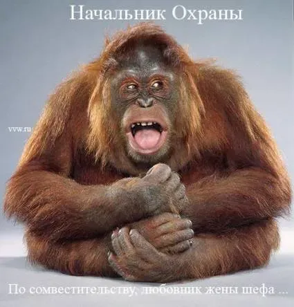 f05870ea7c51.webp
