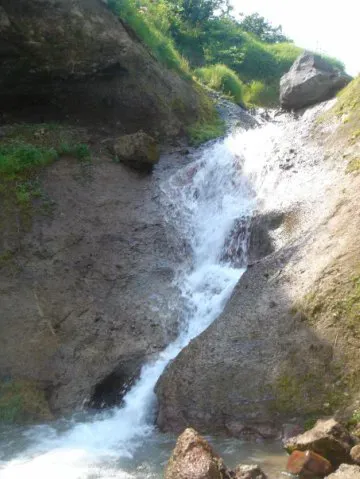 x_e7de3abb.webp