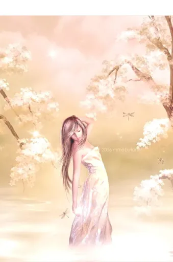 005.webp