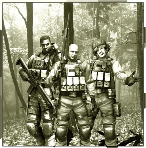 BSAA team.webp