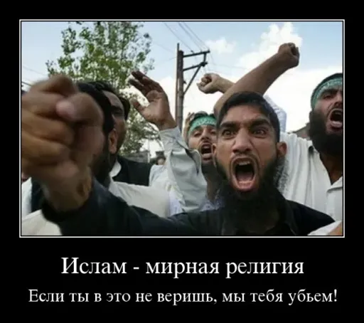 sdsdsd.webp