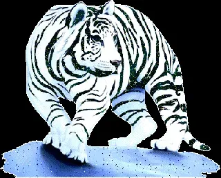 top_1.webp