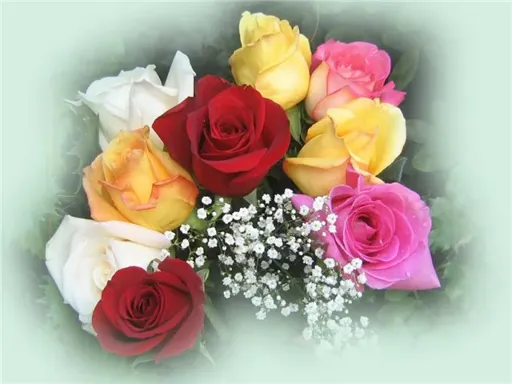 Niushe.webp