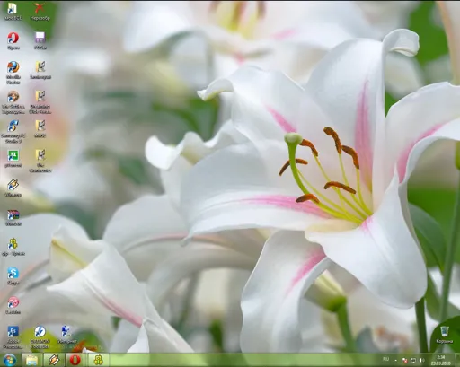 Безымянный.webp