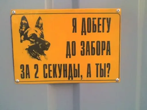 Собака.webp