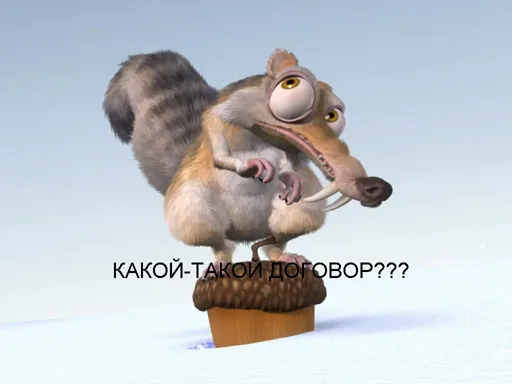 белк.webp