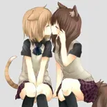 av3.webp