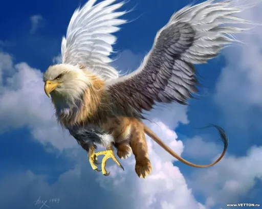 vetton_ru_130.webp
