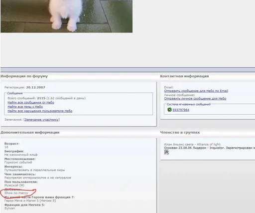 Снимок.webp