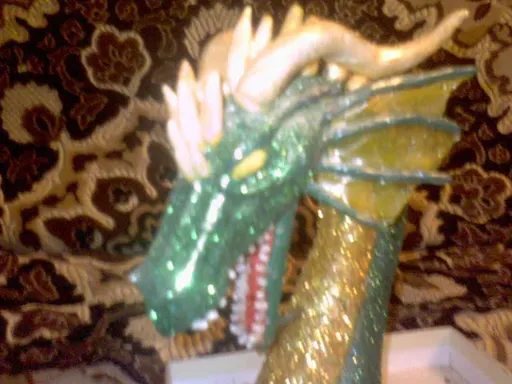 DSC00144.webp
