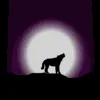 154.webp