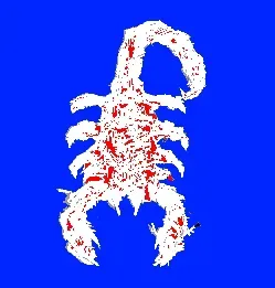 scorp.webp
