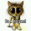foto 235.webp