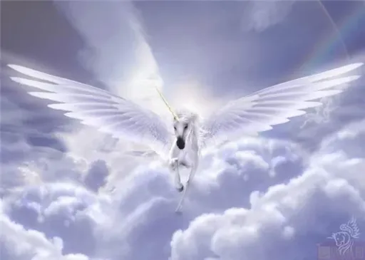 116593924094819.webp