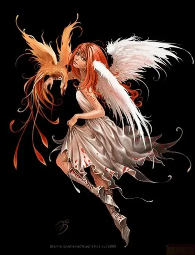 116600751179884.webp