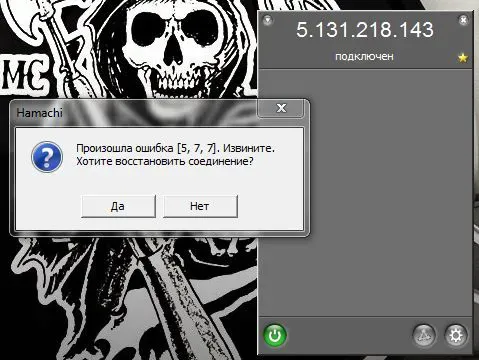 хамачи.webp