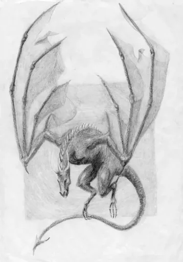 Dragon.webp
