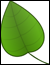 leaf.webp