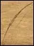 Longbow icon.webp