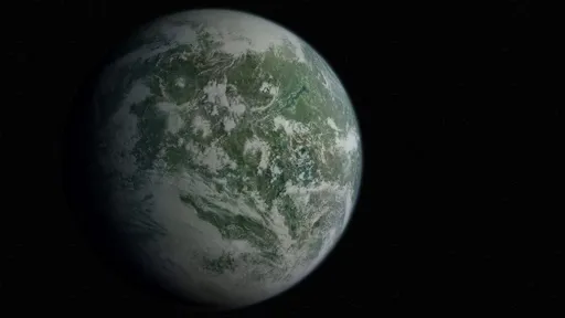 kashyyyk.webp