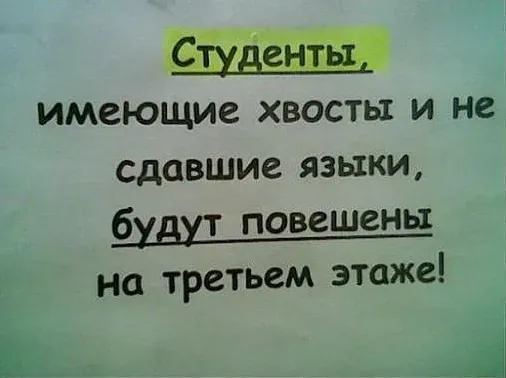 55.webp