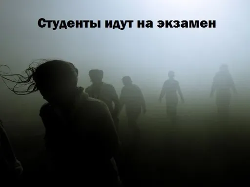 N8pdQAto5T0.webp