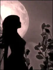 wild witch wanted.webp