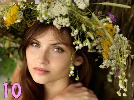 10.webp