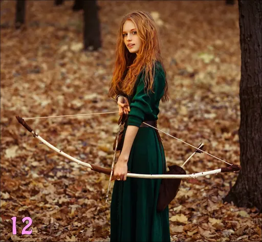 12.webp