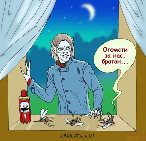 комар.webp
