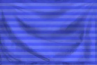 Салация.webp