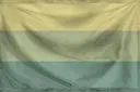 Кореопсис.webp