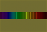 5.webp