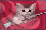 8.webp