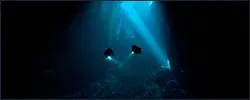 Ocean.webp