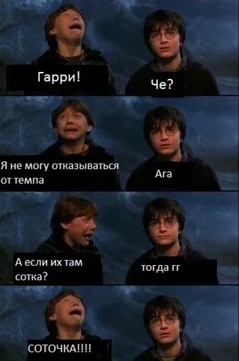 1.webp