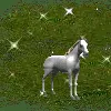 avatar_037.webp