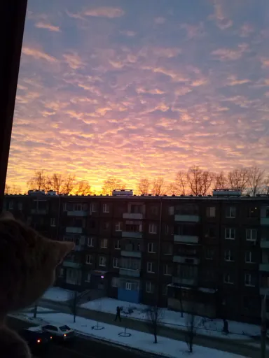 CAM00989.webp