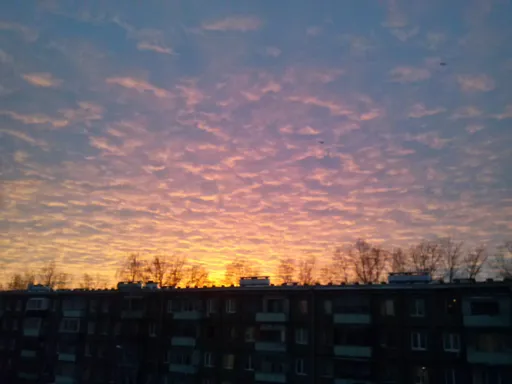 CAM00991.webp